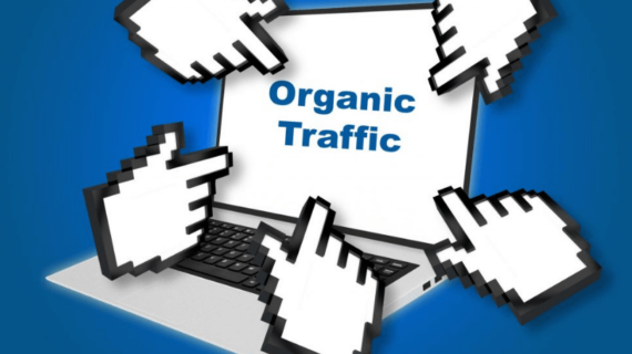 Apa Itu Organic Traffic SEO